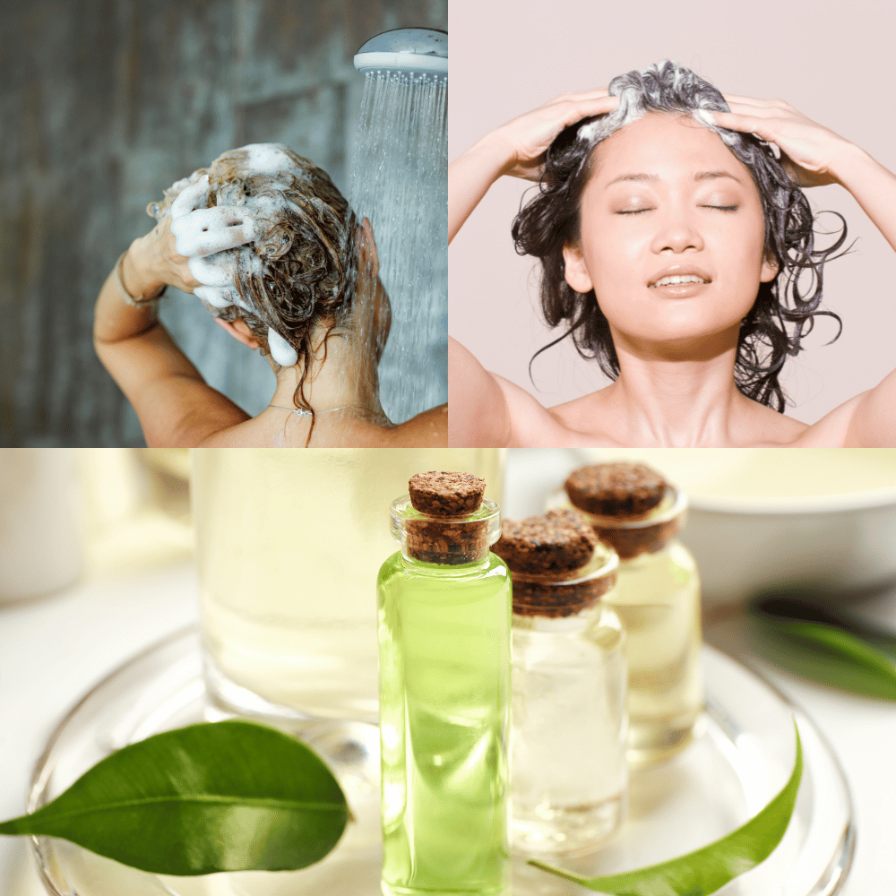 the-best-tea-tree-shampoo-our-top-picks