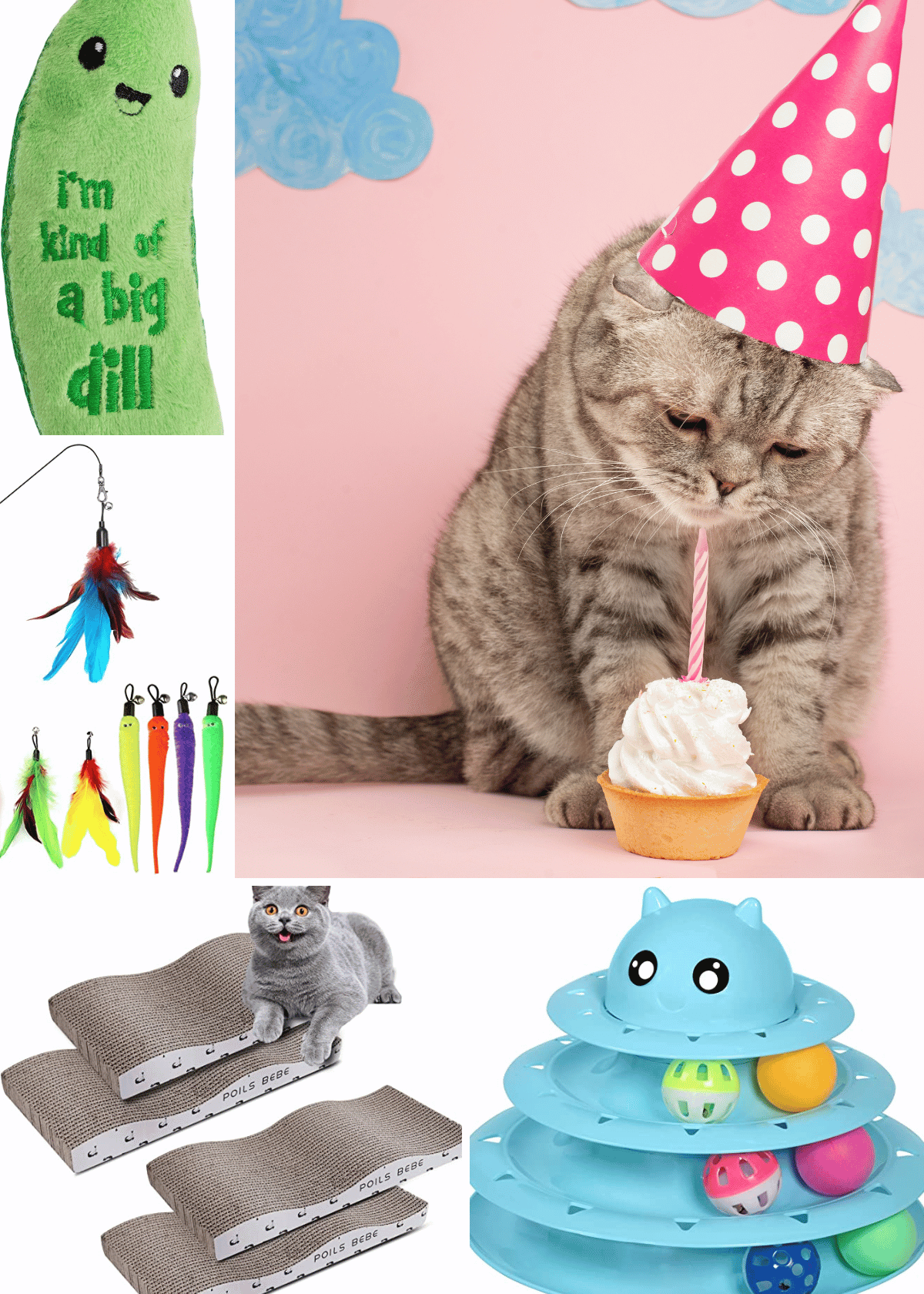 cat-birthday-gifts