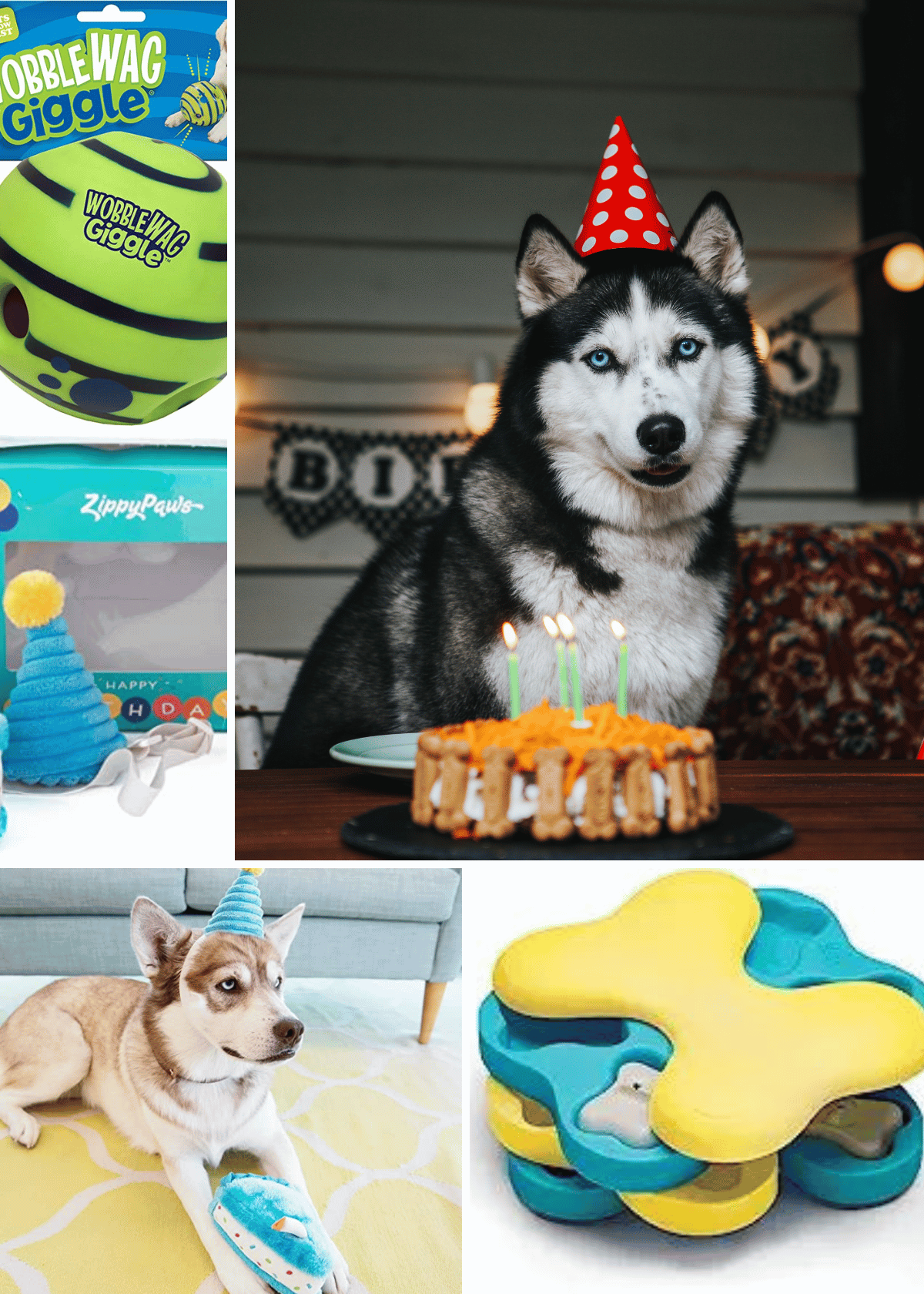 best dog birthday gifts