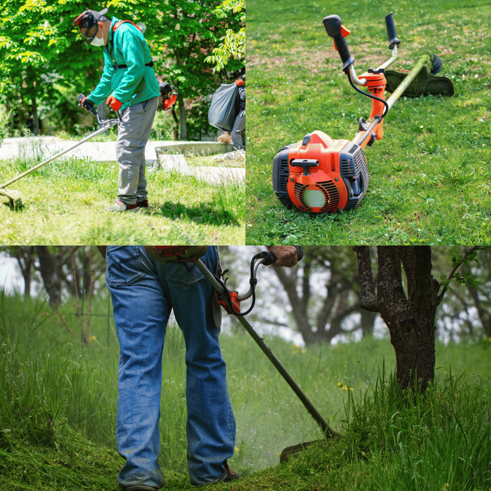 Three Best Brush Cutters – Which One is Right for You?