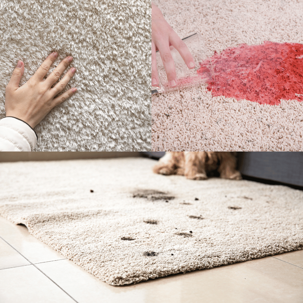Never Worry About Stains Again with These 3 Stain Resistant Carpets