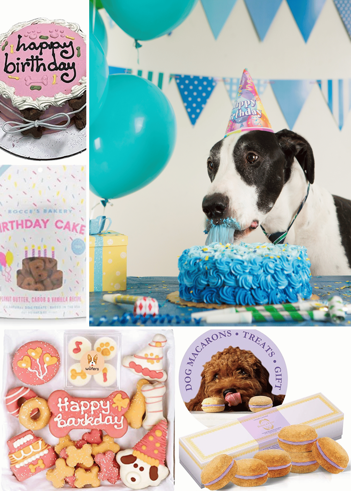 Pawsome Birthday Gifts: Unleashing Joy for Your Canine Companion