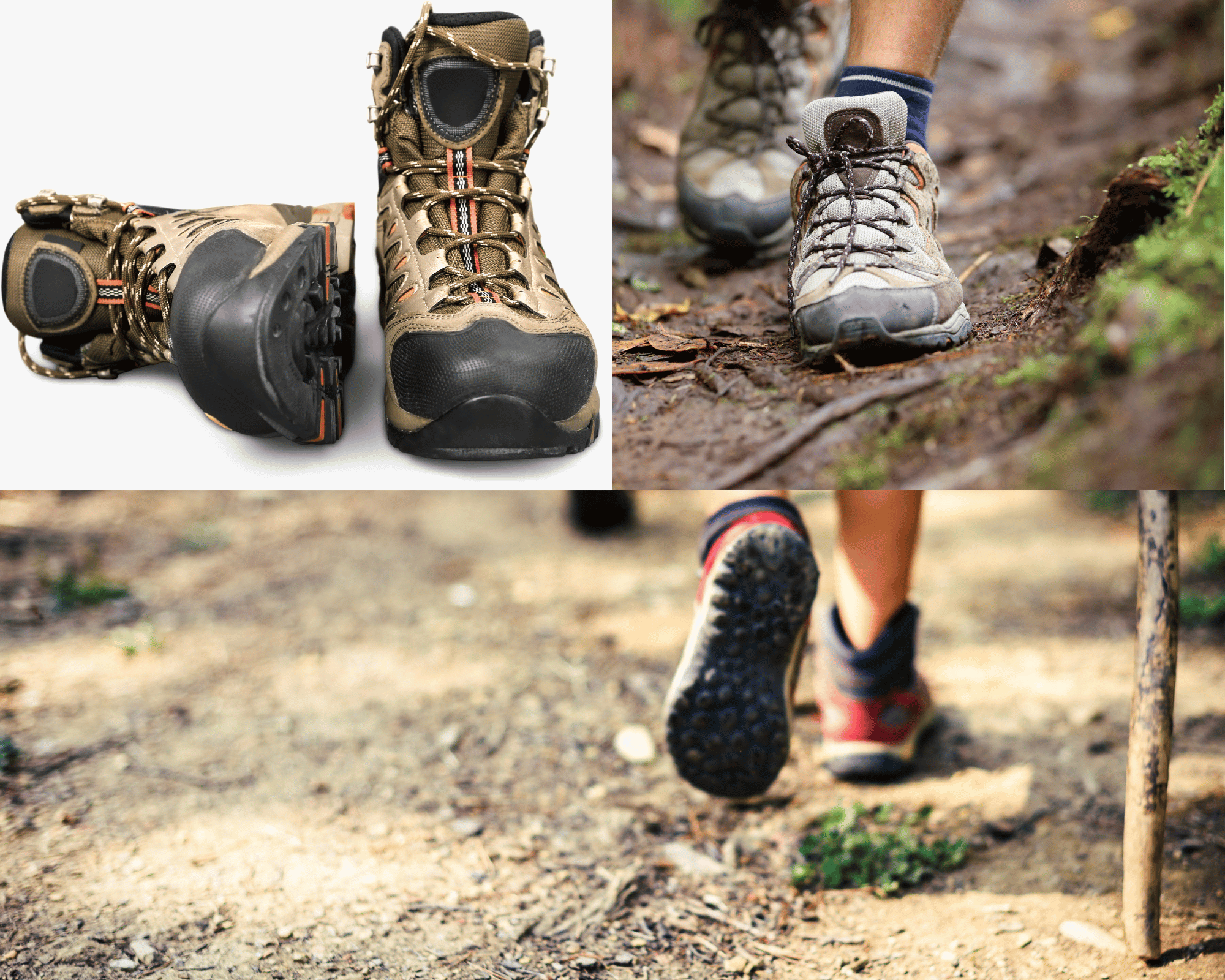 Best Hiking Shoes Hawaii: Hiking Tips & Advice