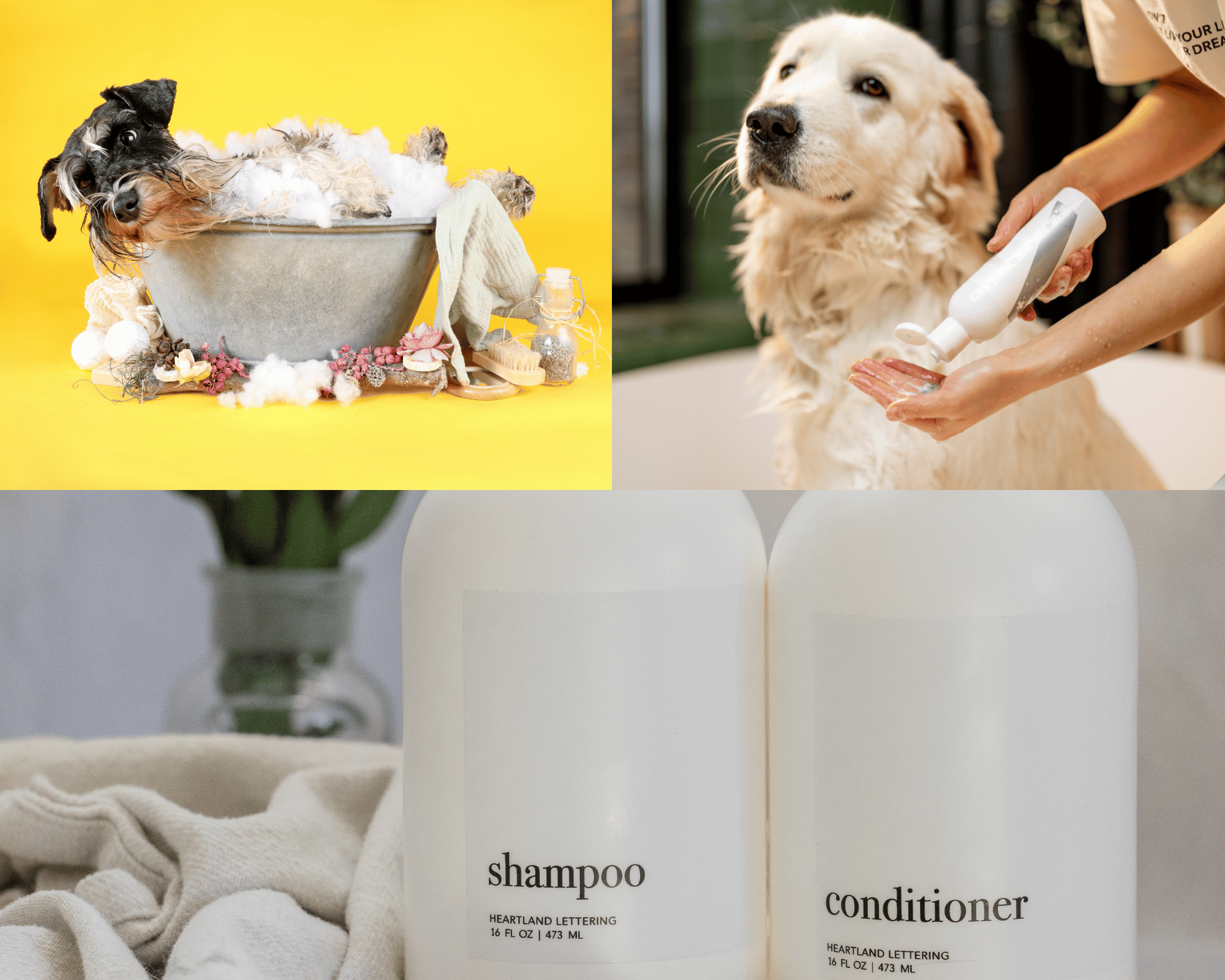 Unleash the Shine: The Best Whitening Shampoos for Dogs That Will Make Tails Wag!