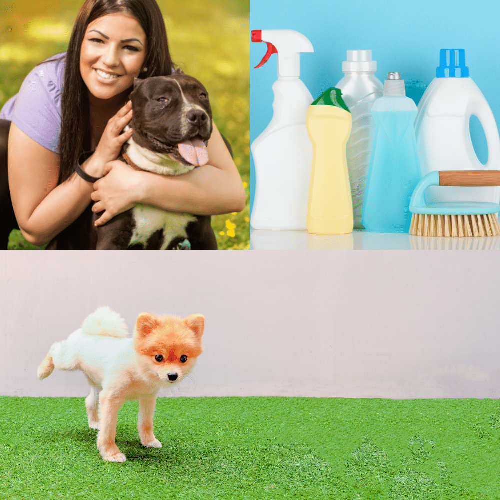 The Best Enzyme Cleaner For Dog Urine – Our Top Picks